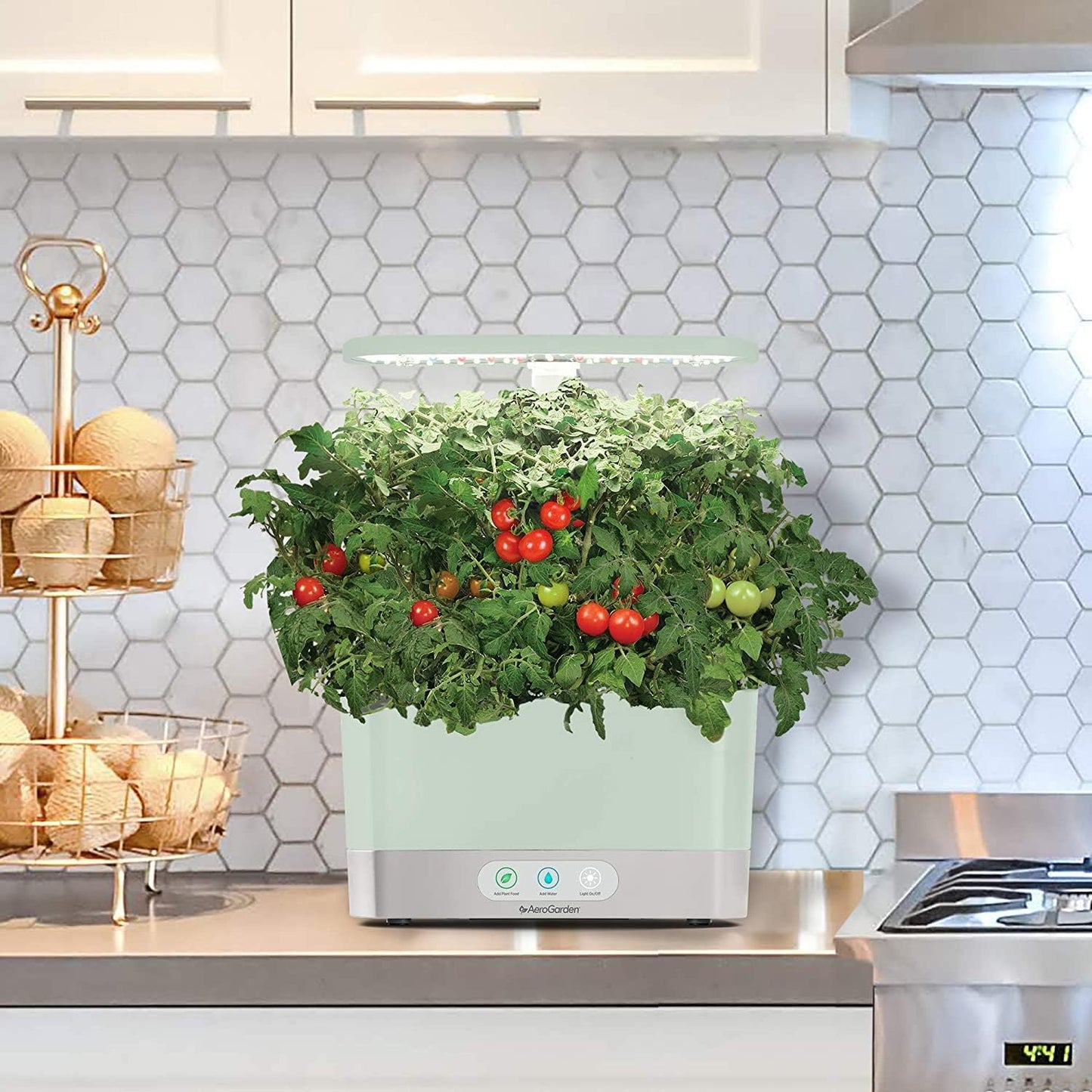 Harvest Indoor Hydroponic Garden System with LED Grow Light and Herb Kit, Accommodates Up to 6 Pods, Sage