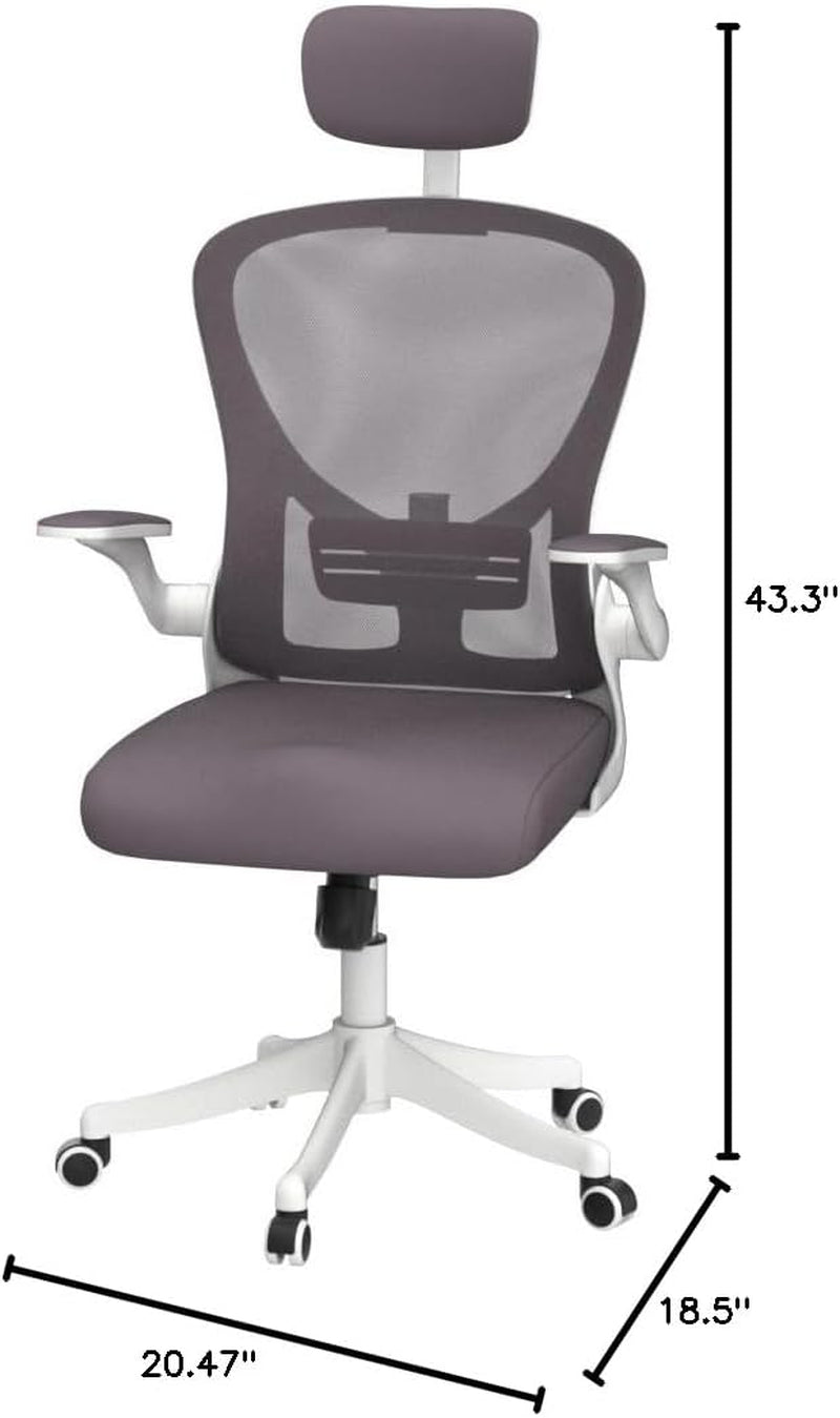 Dedeo Ergonomic High-Back Mesh Office Chair with Adjustable Lumbar Support and Headrest, Tilt Function, and Breathable Thick Seat Cushion